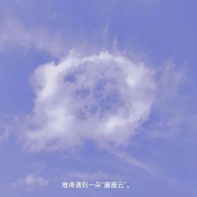 追鸡大作战游戏下载