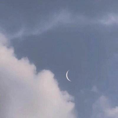 皇后成长计划2无敌版下载