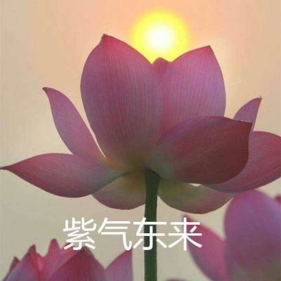 三国志战略版靠谱助手下载